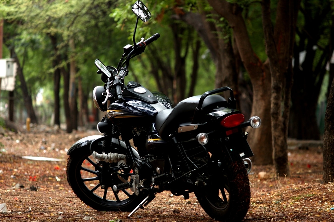 Motorcycle in the forest