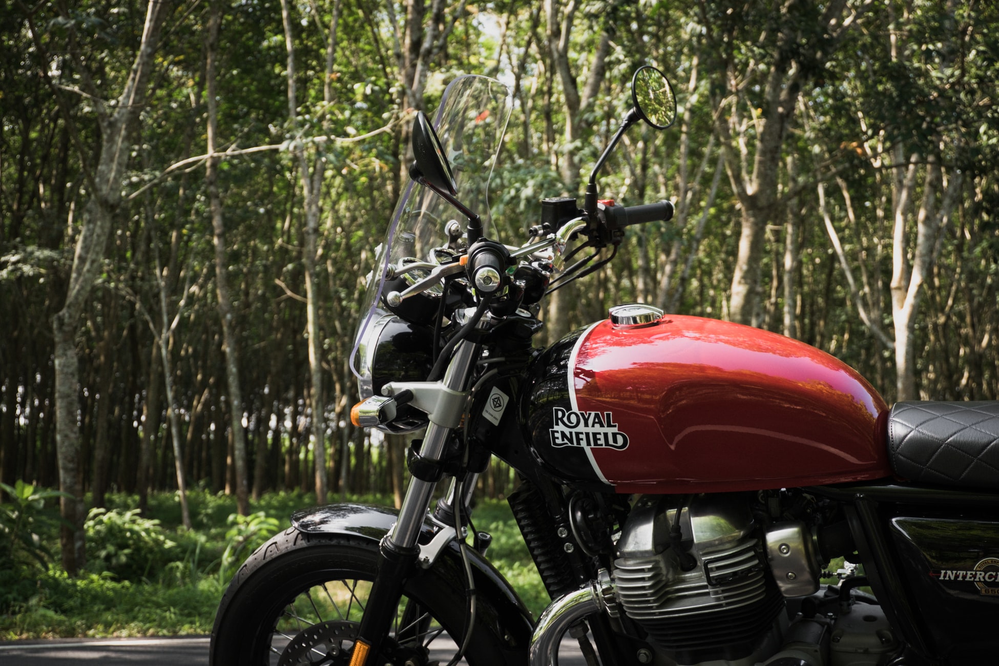 Motorbike in the forest